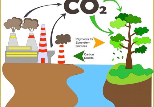 कार्बन उत्सर्जन घटाए वापत विश्व बैंकबाट नेपालले पायो एक अर्ब ३२ करोड रुपैंयाँ