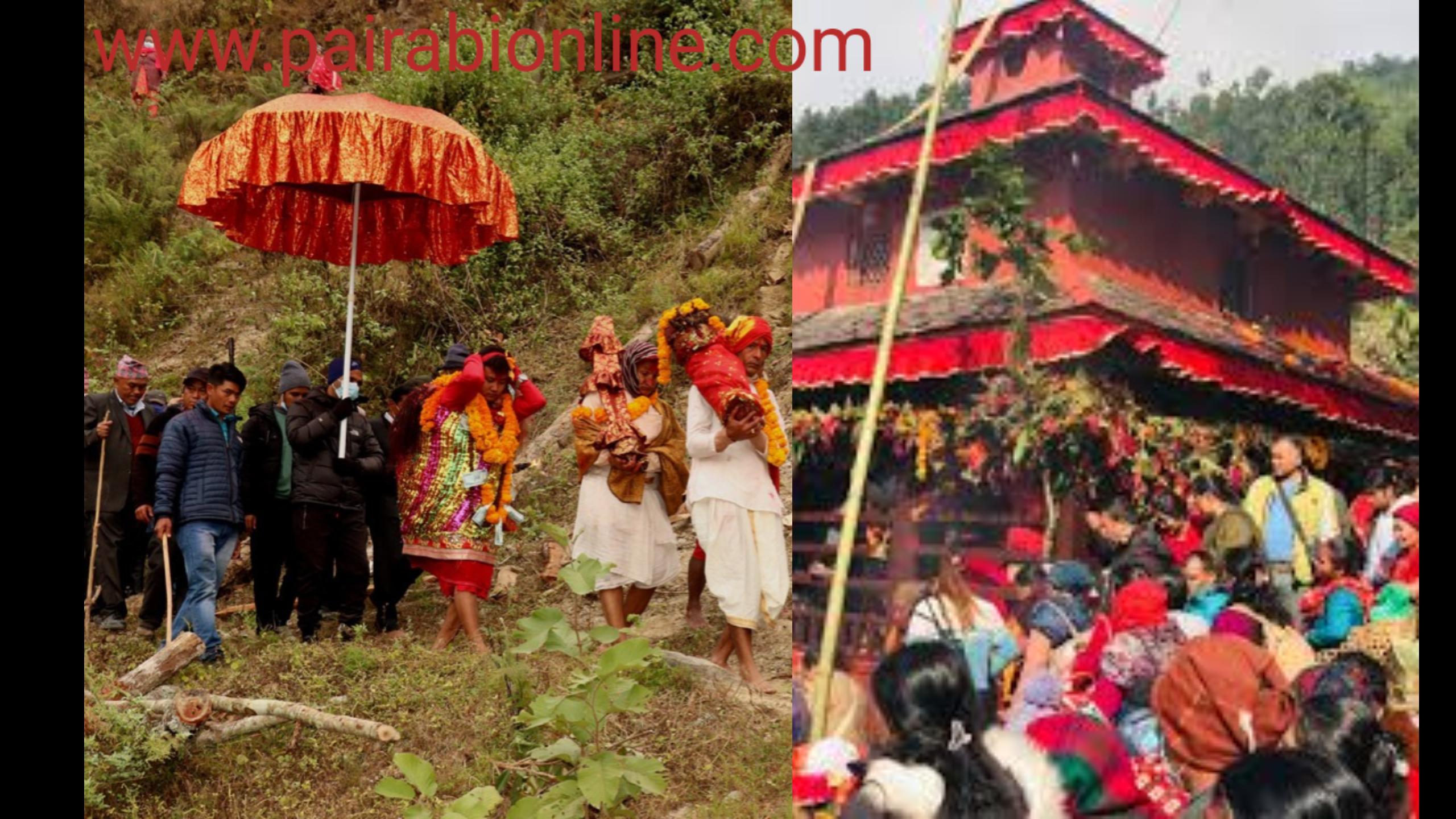 मंसिर ७ गते त्रिपुरासुन्दरी गाउँपालिकामा सार्वजनिक विदा हुने